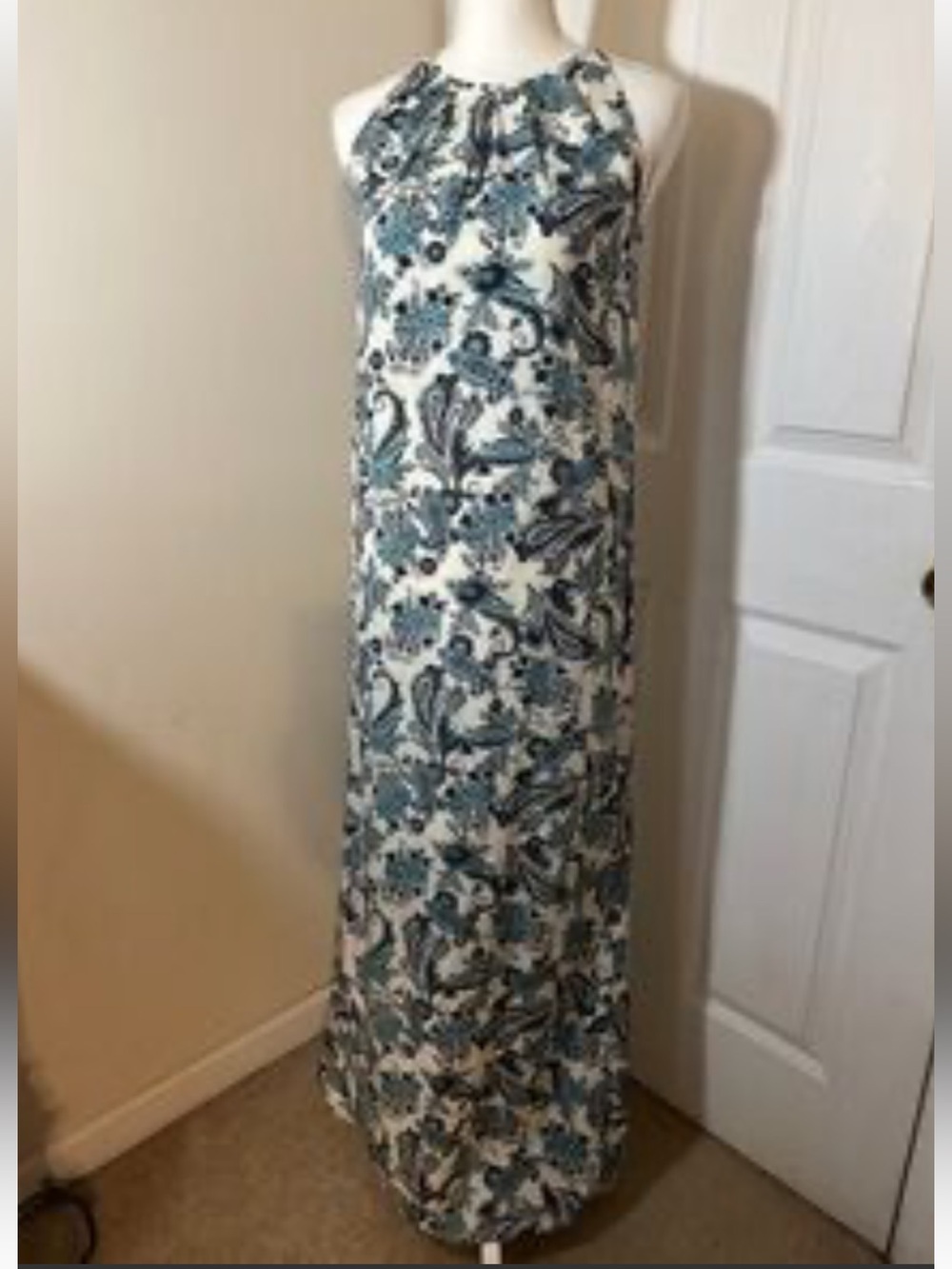 Loft Ann taylor Sleeveless Blue
Paisley Maxi Dress